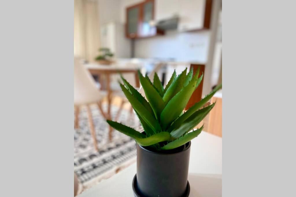 Cozy Apartment Umag Zewnętrze zdjęcie